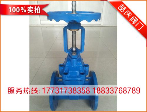 DN100明桿軟密封閘閥
