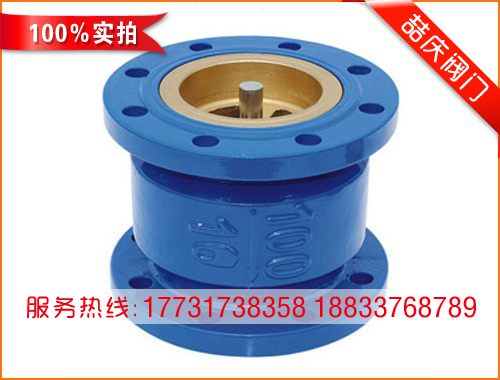 HC41X消聲止回閥
