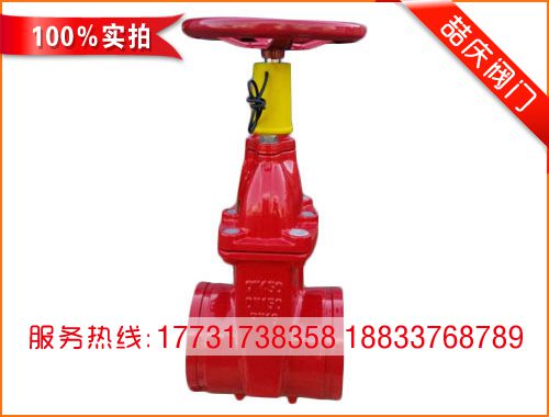 RVSX/XZ45X-16信號(hào)彈性座封閘閥