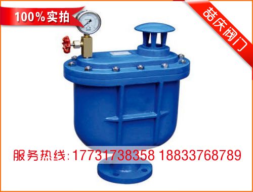CARX復(fù)合式排氣閥